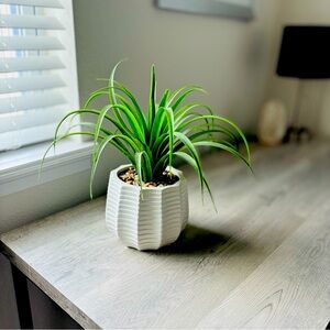 14’’ Medium Round  Fake Plant Artificial Desk Plant for Home or Office Decor